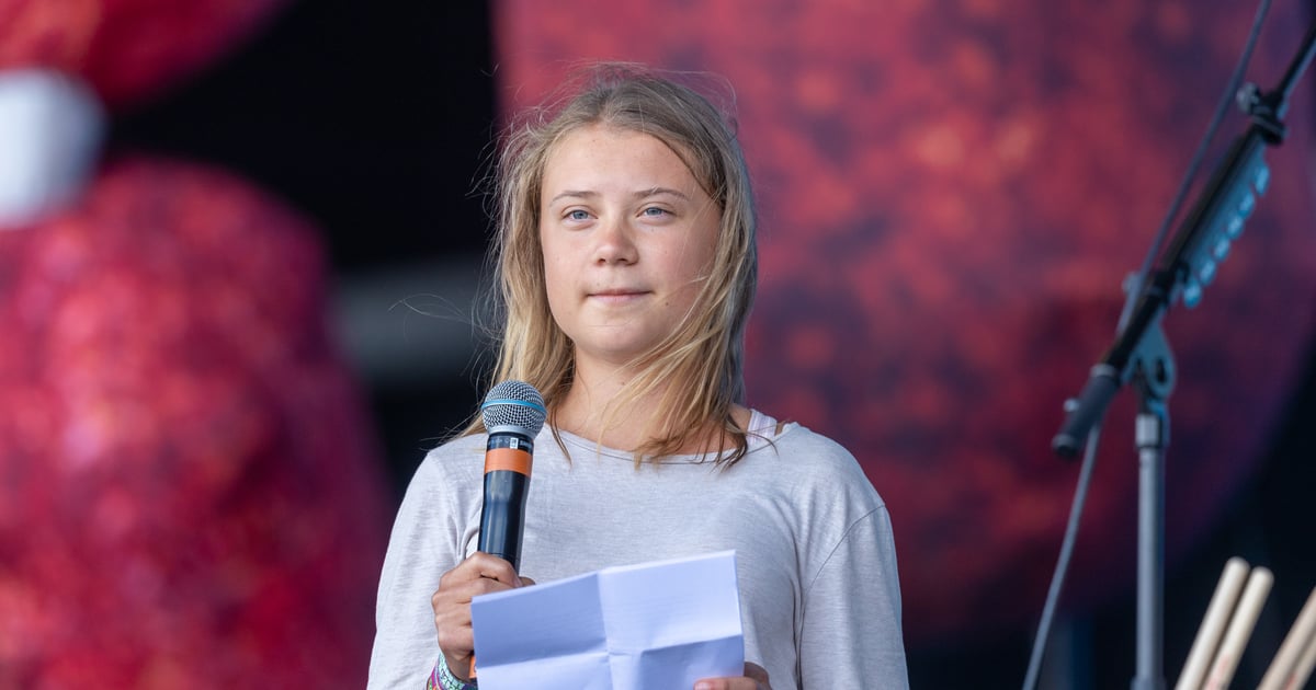 Andrew Tate Arrested Shortly After Greta Thunberg Trade